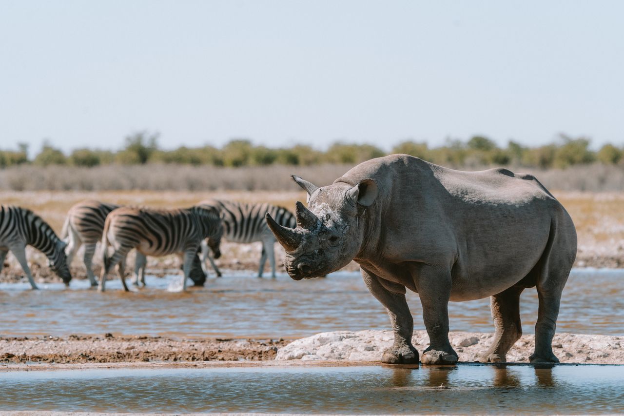 Namibia: Desert, Coast & Wildlife